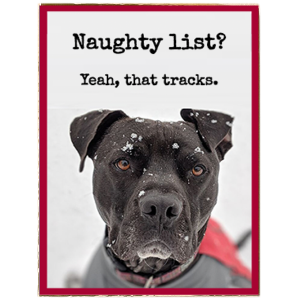 Naughty Dog