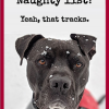 Naughty Dog