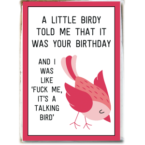 A Little Birdy