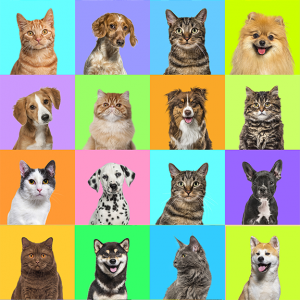 Cat & Dog Tarty Favors - 25
