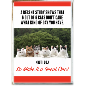 Six Out of Six Cats Good Day